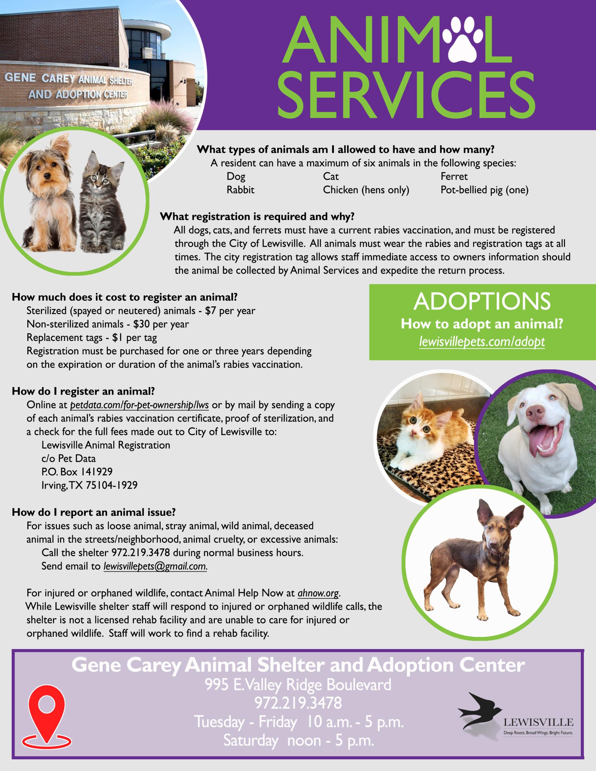 CH flyer 09 - Animal Services