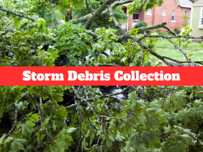 Storm Cleanup Information